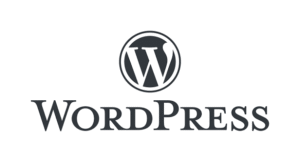 Gen Z media agency—Word Press